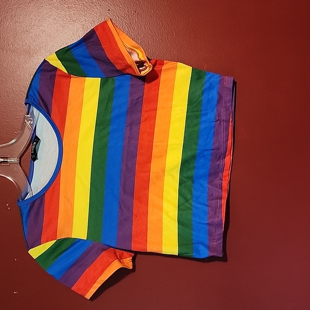 Rainbow Crop Tee